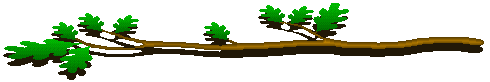 Oakbranch