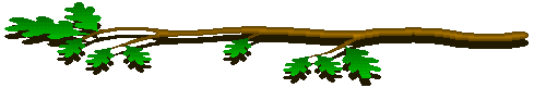 Oakbranch