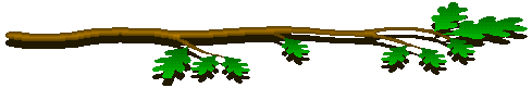 Oakbranch