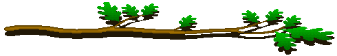 Oakbranch